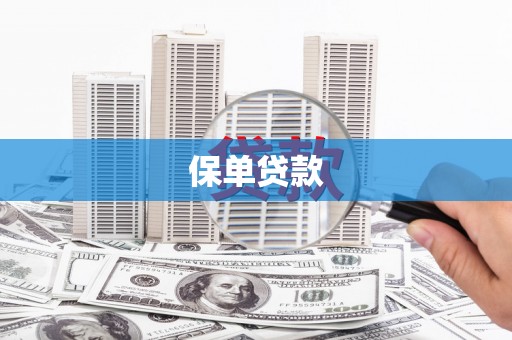 任城保单贷款