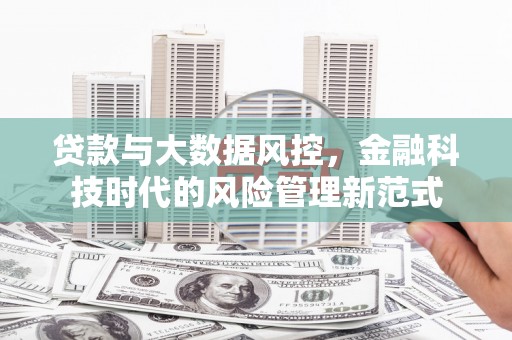 任城贷款与大数据风控，金融科技时代的风险管理新范式