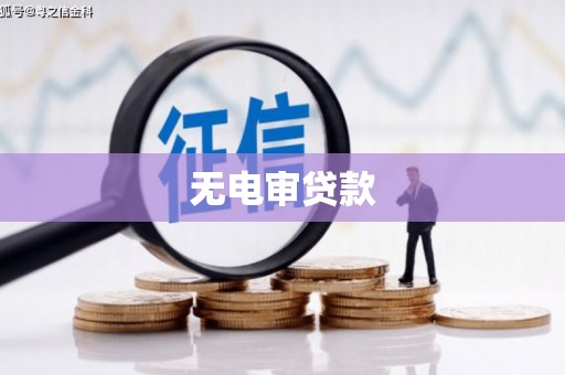 任城无电审贷款