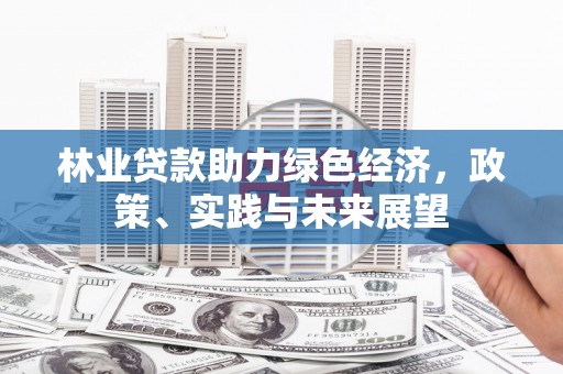 任城林业贷款助力绿色经济，政策、实践与未来展望