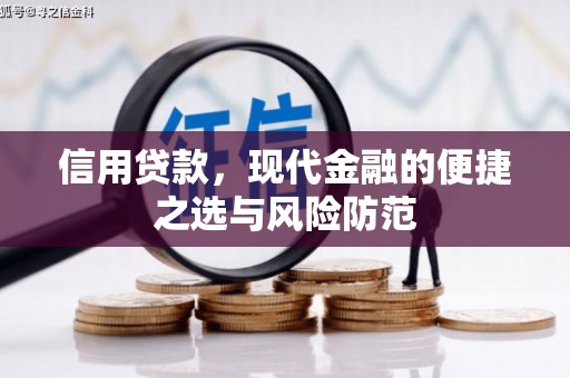 任城信用贷款，现代金融的便捷之选与风险防范