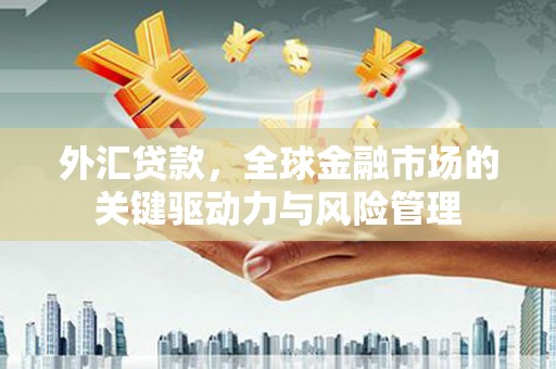 任城外汇贷款，全球金融市场的关键驱动力与风险管理