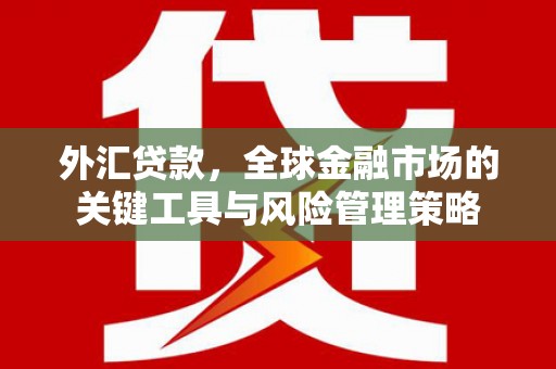 任城外汇贷款，全球金融市场的关键工具与风险管理策略