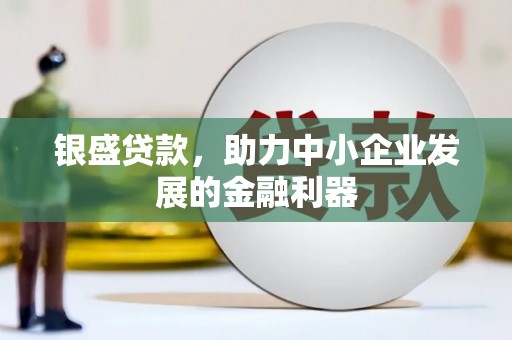任城银盛贷款，助力中小企业发展的金融利器