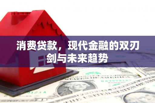 任城消费贷款，现代金融的双刃剑与未来趋势
