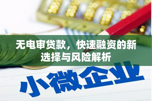 任城无电审贷款，快速融资的新选择与风险解析
