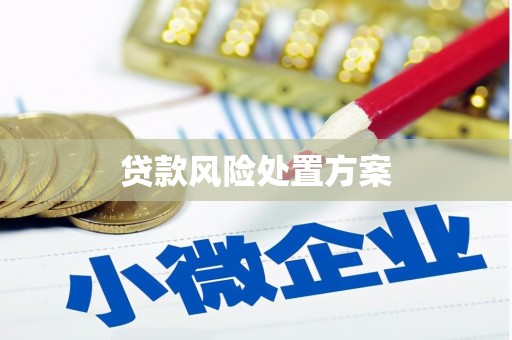 任城贷款风险处置方案