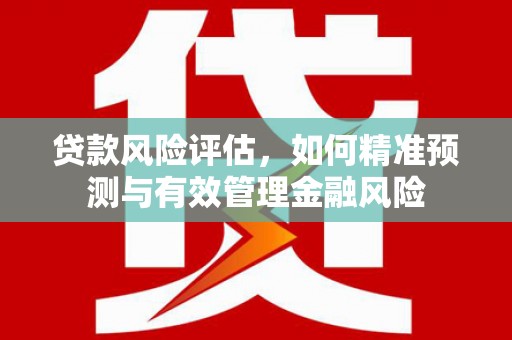 任城贷款风险评估，如何精准预测与有效管理金融风险