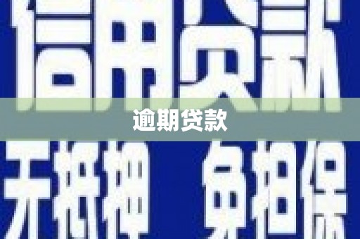 任城逾期贷款