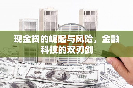 任城现金贷的崛起与风险，金融科技的双刃剑