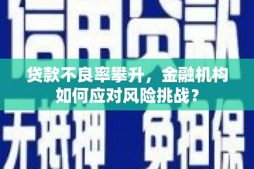 任城贷款不良率攀升，金融机构如何应对风险挑战？