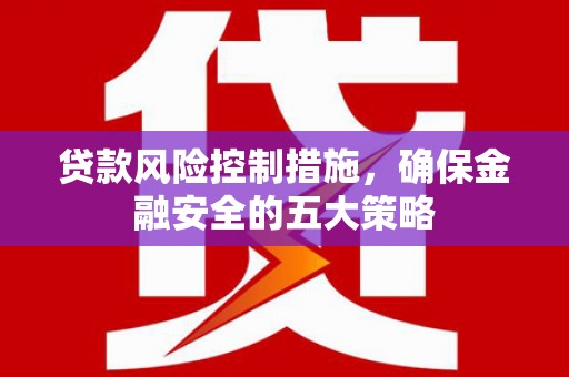 任城贷款风险控制措施，确保金融安全的五大策略