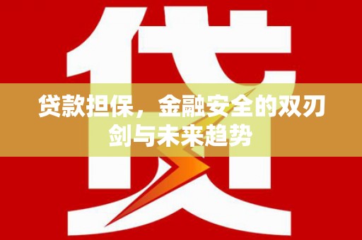 任城贷款担保，金融安全的双刃剑与未来趋势