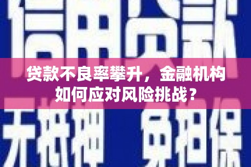 任城贷款不良率攀升，金融机构如何应对风险挑战？