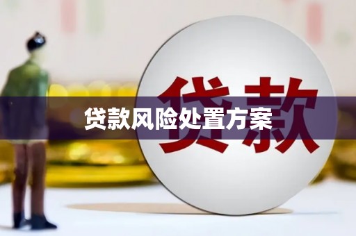 任城贷款风险处置方案