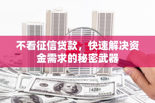 任城不看征信贷款，快速解决资金需求的秘密武器