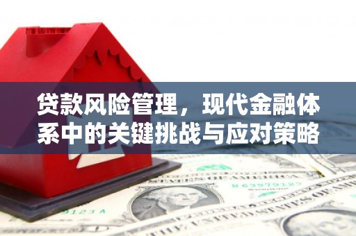 任城贷款风险管理，现代金融体系中的关键挑战与应对策略