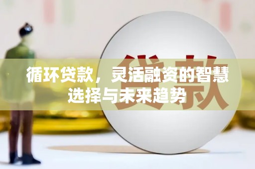 任城循环贷款，灵活融资的智慧选择与未来趋势