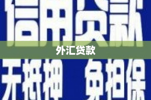 任城外汇贷款