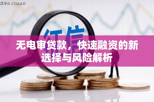 任城无电审贷款，快速融资的新选择与风险解析