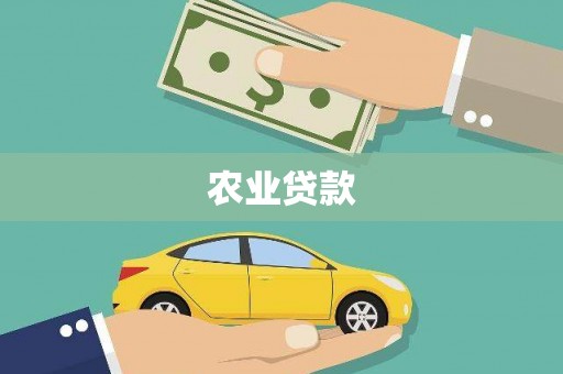 任城农业贷款