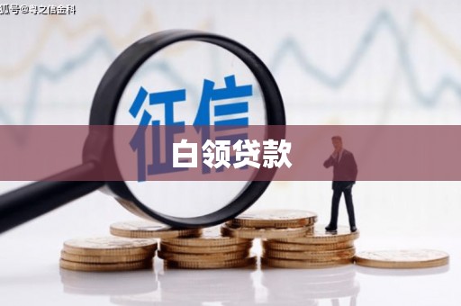 任城白领贷款