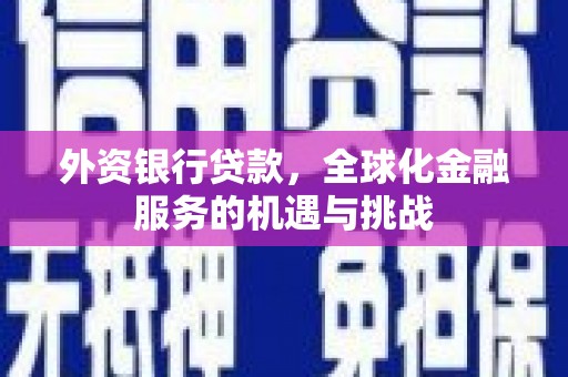 任城外资银行贷款，全球化金融服务的机遇与挑战