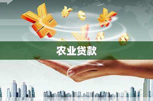 任城农业贷款