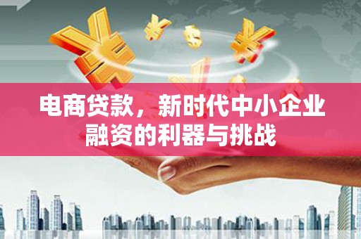 任城电商贷款，新时代中小企业融资的利器与挑战