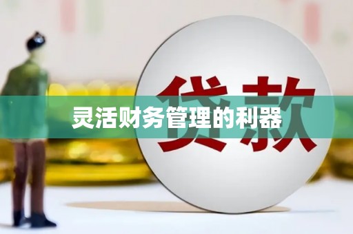 任城灵活财务管理的利器