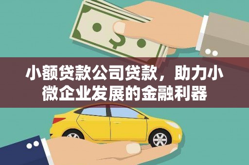 任城小额贷款公司贷款，助力小微企业发展的金融利器