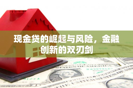 任城现金贷的崛起与风险，金融创新的双刃剑