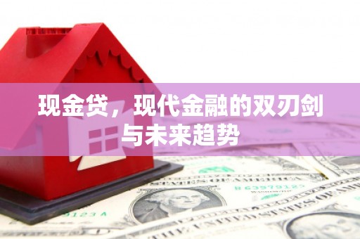 任城现金贷，现代金融的双刃剑与未来趋势