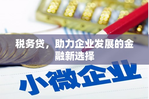 任城税务贷，助力企业发展的金融新选择