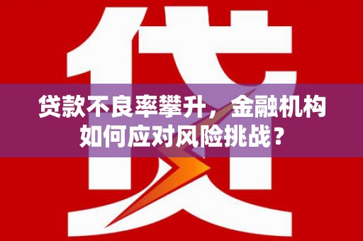 任城贷款不良率攀升，金融机构如何应对风险挑战？