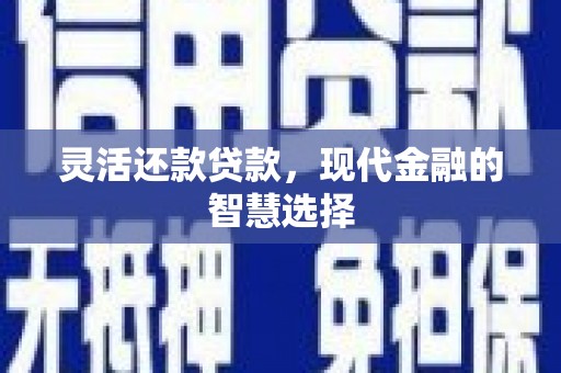 任城灵活还款贷款，现代金融的智慧选择