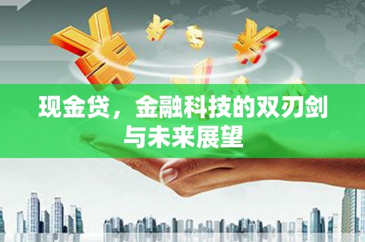 任城现金贷，金融科技的双刃剑与未来展望
