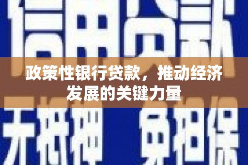 任城政策性银行贷款，推动经济发展的关键力量