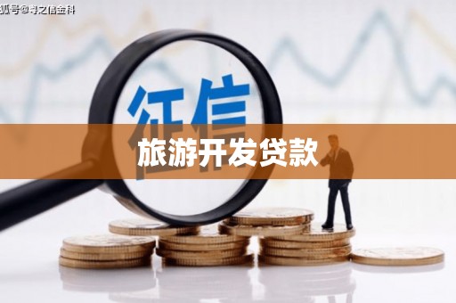 任城旅游开发贷款