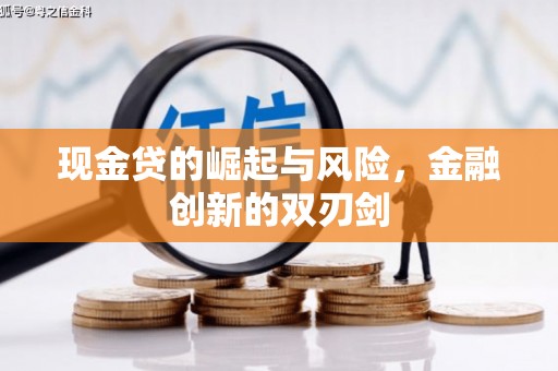 任城现金贷的崛起与风险，金融创新的双刃剑