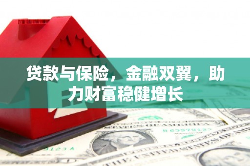 任城贷款与保险，金融双翼，助力财富稳健增长