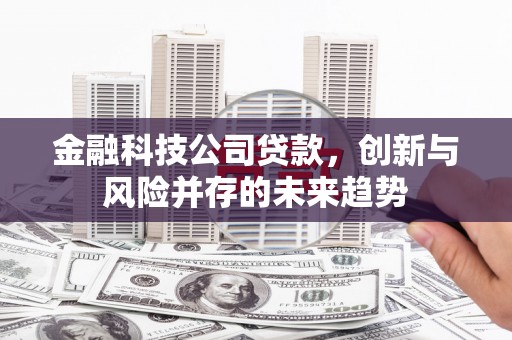 任城金融科技公司贷款，创新与风险并存的未来趋势
