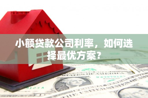 任城小额贷款公司利率，如何选择最优方案？