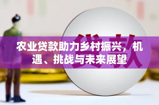 任城农业贷款助力乡村振兴，机遇、挑战与未来展望