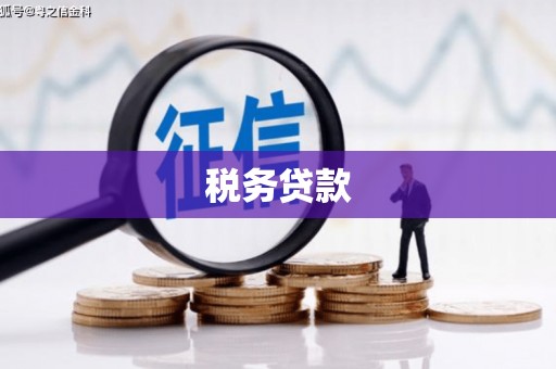任城税务贷款