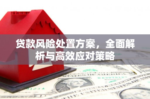 任城贷款风险处置方案，全面解析与高效应对策略
