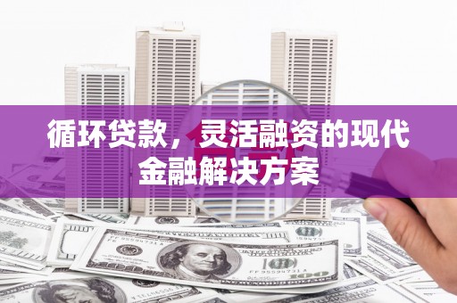 任城循环贷款，灵活融资的现代金融解决方案
