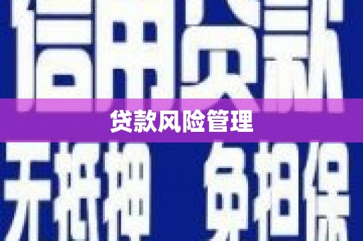 任城贷款风险管理