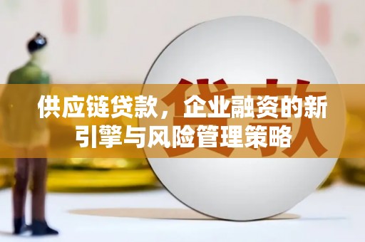 任城供应链贷款，企业融资的新引擎与风险管理策略