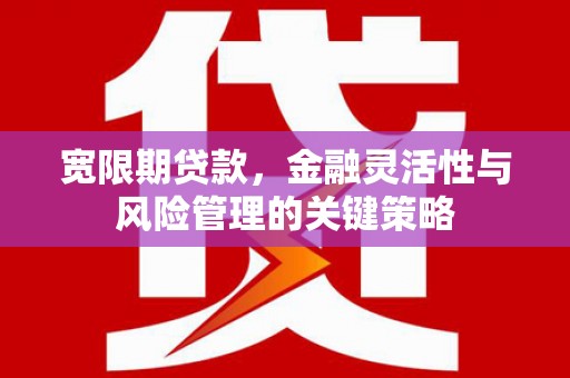 任城宽限期贷款，金融灵活性与风险管理的关键策略